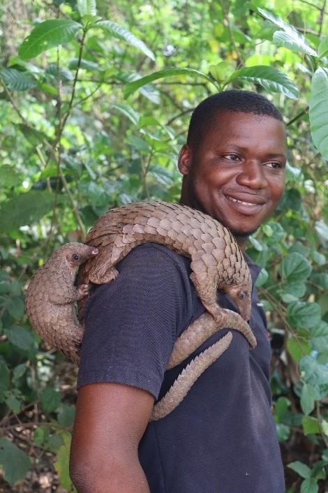 Stan with a female white-bellied pangolin and her pup. © Stanislas Zanvo.