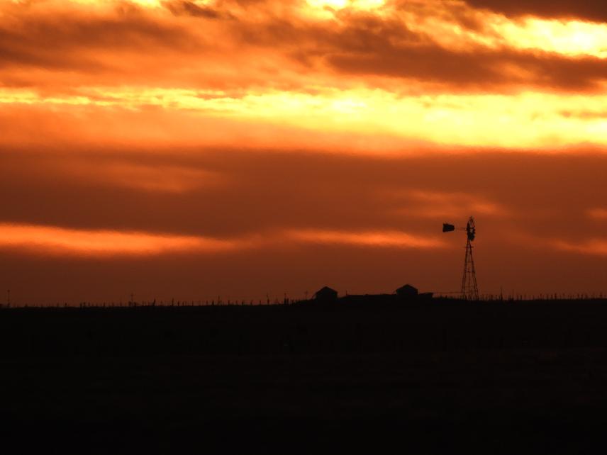 Sunset in the rangelands where animal husbandry and grassland conservation efforts meet. © Agustín Gabriel Álvarez.