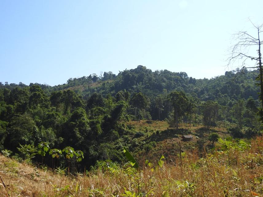 The Kaziranga–Karbi Anglong Landscape, a critical ecological corridor linking the floodplains of Kaziranga with the hill forests of Karbi Anglong. @Jyotish Ranjan Deka