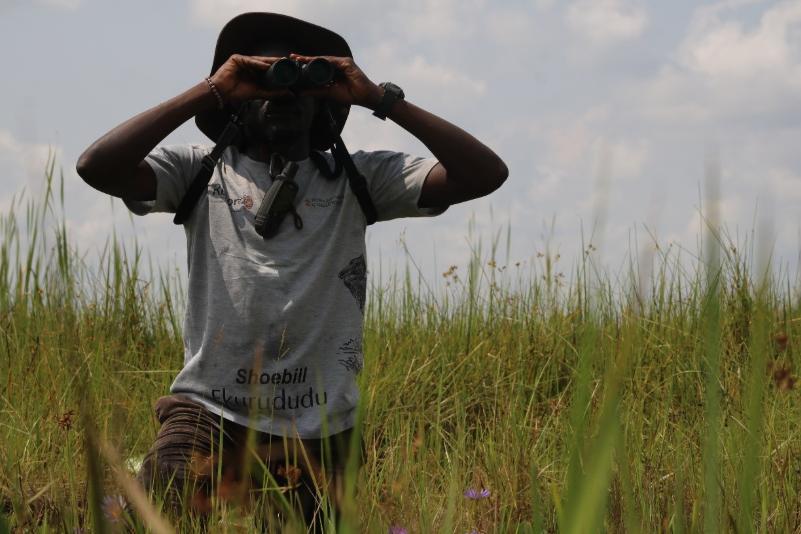 The Project Lead, Oreret Erasmus Tukei observing the shoebills from a distance using binoculars © Photo by Samuel Onep