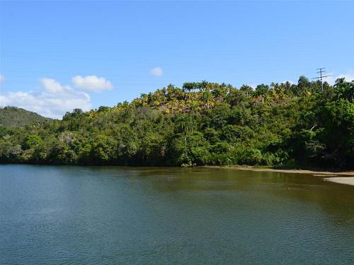 Typical biotopes for reproduction of Nandopsis ramsdeni, Toa River.