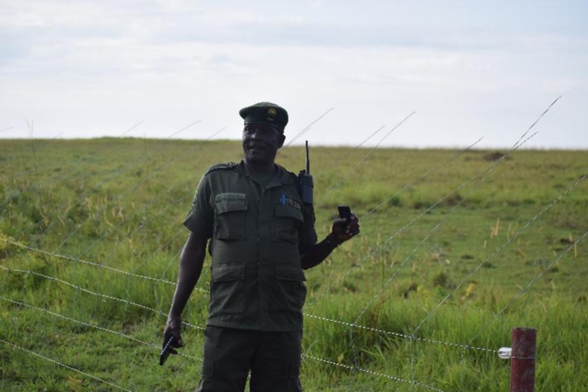 Uganda Wildlife Authority Officer overseeing the collaboration between Uganda Wildlife Authority and the project to monitor the performance of the electric fence system ©William Luwaga.