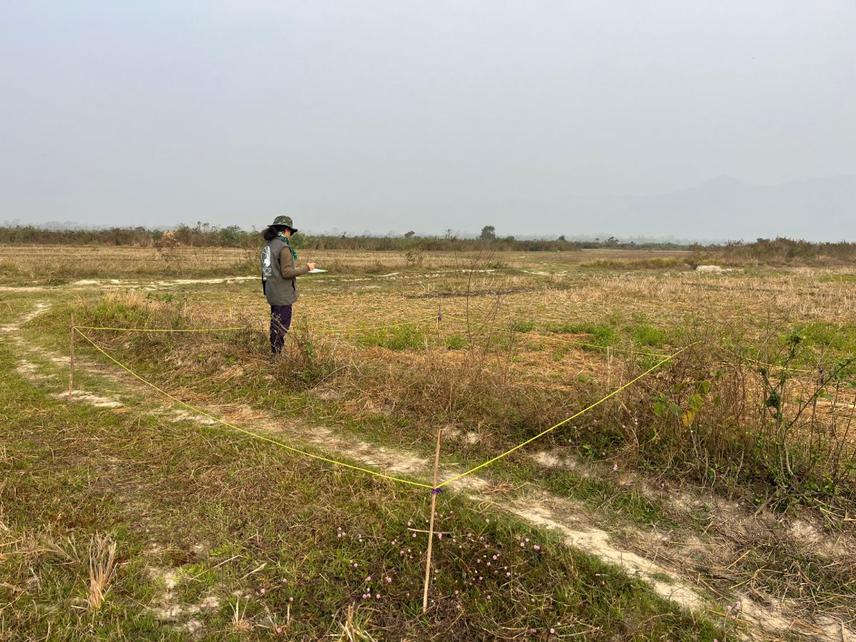 Vegetation data collection © Jenious Daimary