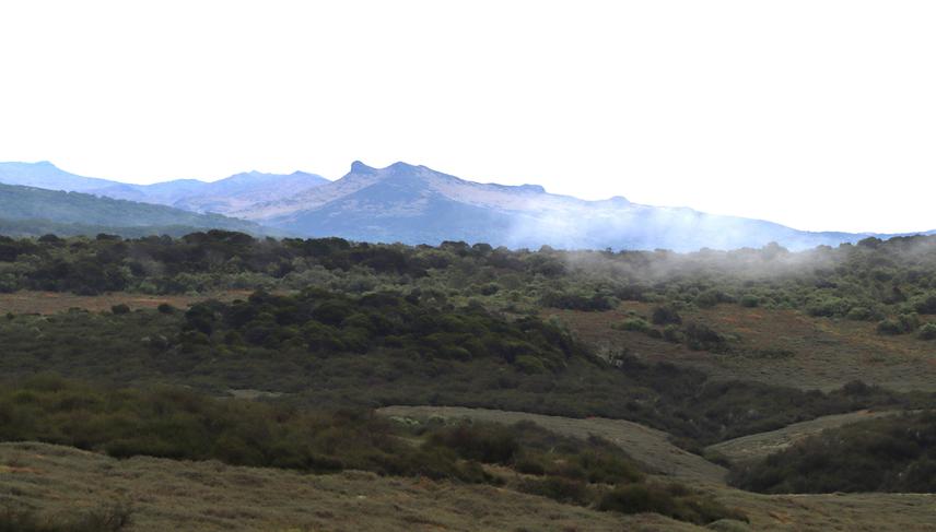 Wide view of Aberdare Mountains (c) Martin Mwangi