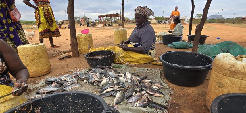 Women processing fish at Kachero landing site, Jipe. ©Zacharia Mutinda.