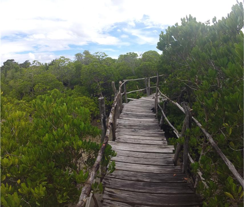 Boardwalk.