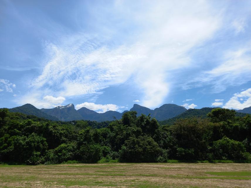 Study area: a remnant of the Atlantic Forest in Rio de Janeiro, RJ, Brazil, surrounded by deforested areas. ©Beatriz Lima.