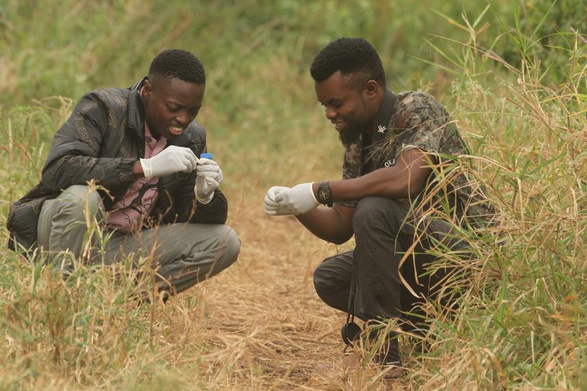 Researchers collecting giraffe faecal samples in Makuyuni Wildlife Park, using non-invasive genetic analysis to better understand population genetic diversity and connectivity of giraffes in the ecosystem. © Meshack Lutoba Madata
