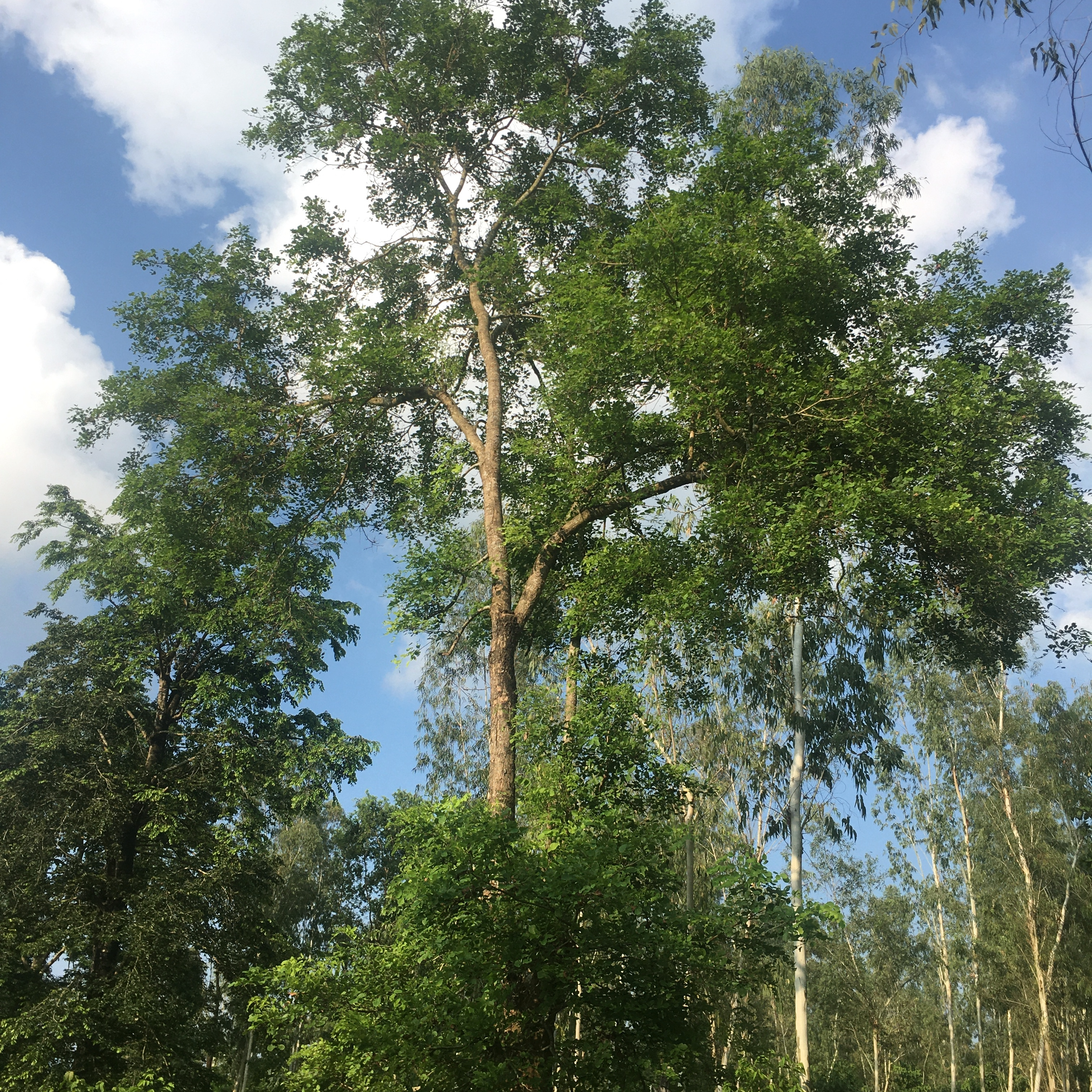 Conservation Funding Opportunities – March 2025 Roundup image