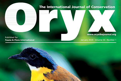 Oryx -The International Journal of Conservation will soon be Open Access thanks to The Rufford Foundation image