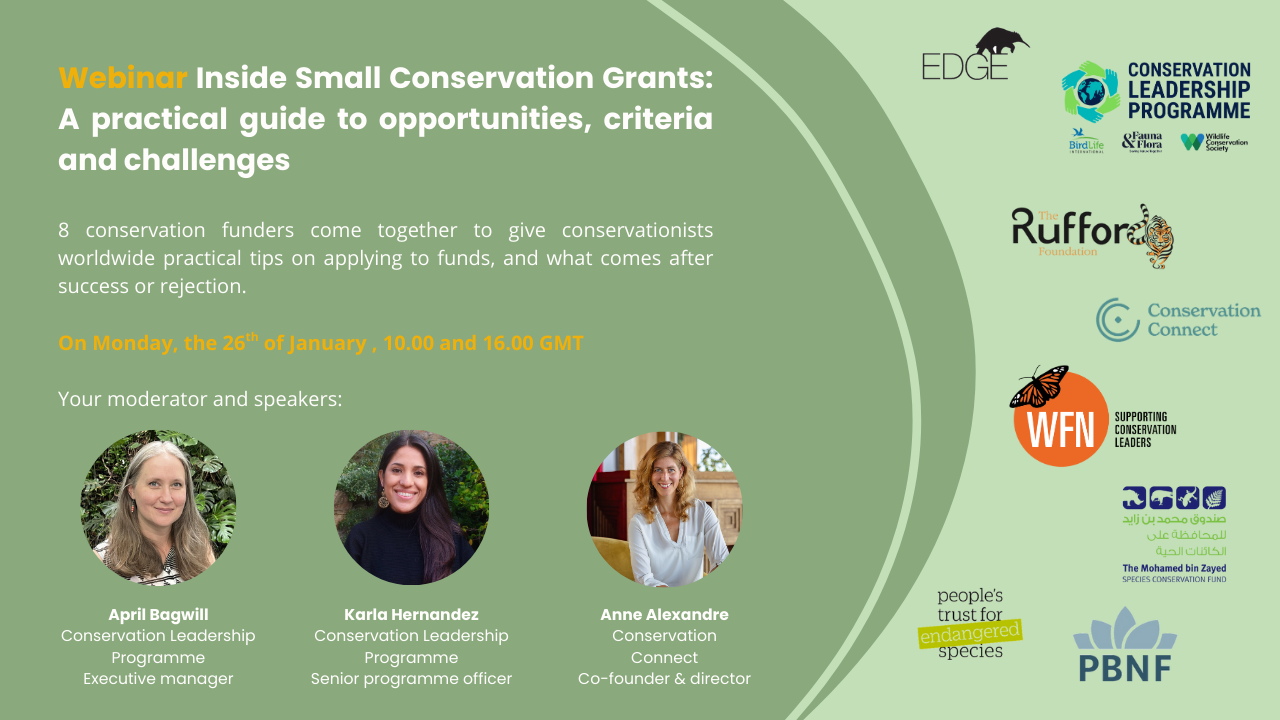 Expert Guidance on Applying for Small Grants image