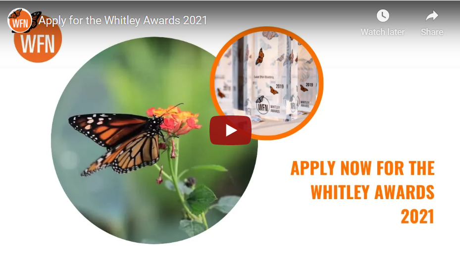 Applications for the Whitley Awards 2021 are now open! image