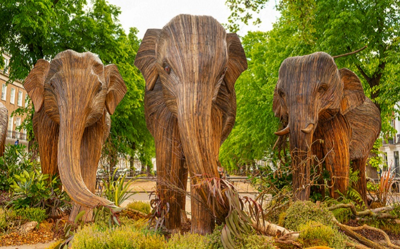 The Elephants Have Come to Town image