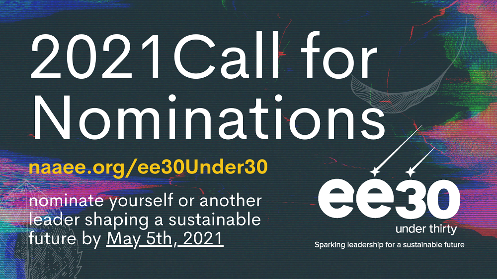 EE 30 under 30 2021 Call for Nominations image